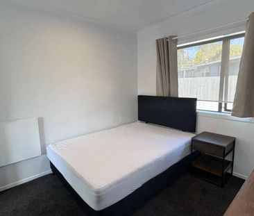 Hot on Hibiscus - Photo 1