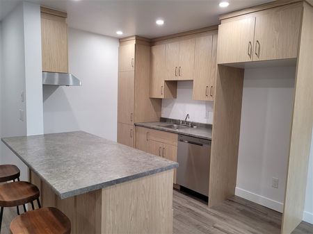 4½ 2060-207, rue Gauthier, Sherbrooke, (juillet) J1H 6A5 - Photo 4