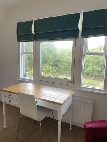 Beautiful large room in family home - Photo 5