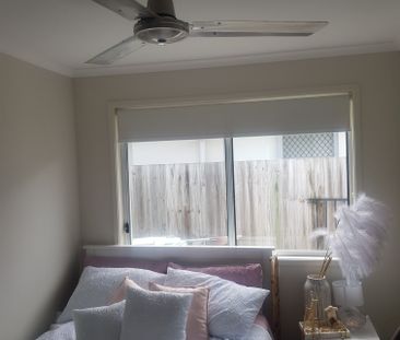 Mountain Creek - Photo 4