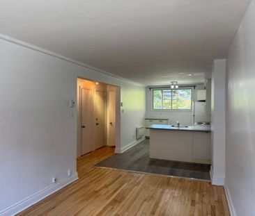 Appartement à louer - Montréal (Rosemont/La Petite-Patrie) (La Peti... - Photo 1
