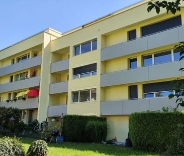 #verliebtinschaffhausen - wundervolle Wohnung mit neuer Küche, neue... - Photo 4