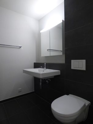 Generous apartment in the countryside - Photo 1