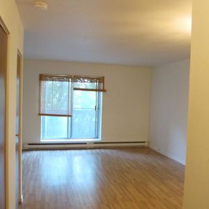 Appartement studio / bachelor à louer Ville St-Laurent - Bois-Franc à Plaza Oasis - Photo 2