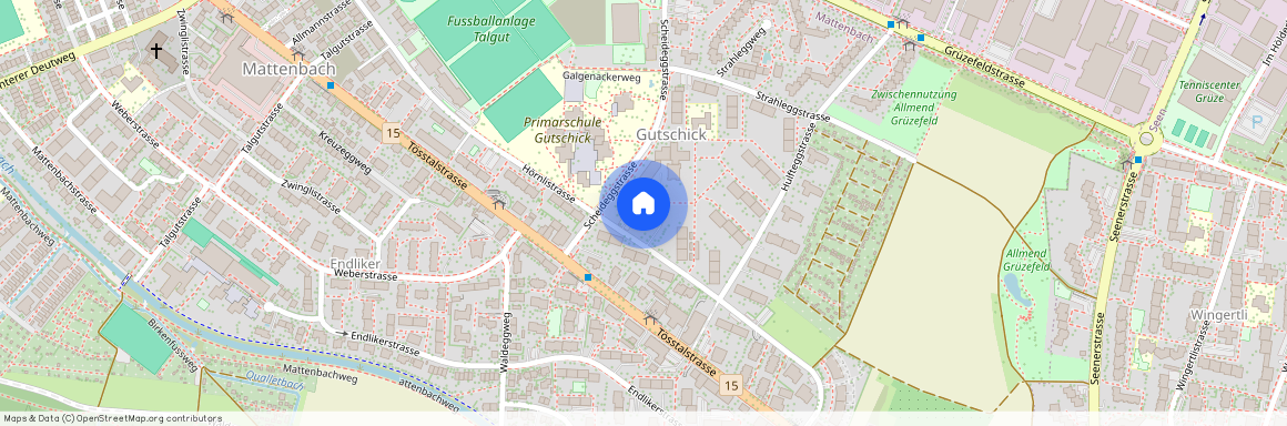 8400, Winterthur, Scheideggstrasse, 2