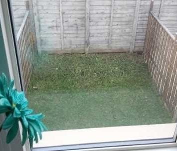 For Lease - 20 Ferguson Street, Toronto, Ontario - Photo 1