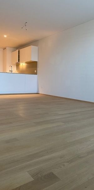 Moderne 3.5 Zimmerwohnung direkt an der Limmat - Photo 1