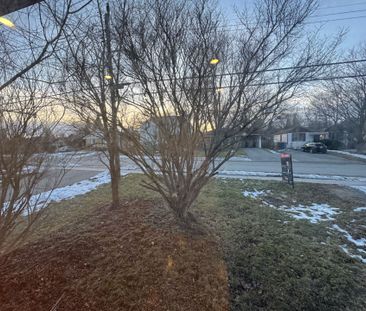 For Lease - 75 Bolton Avenue, Newmarket, Ontario - Photo 1