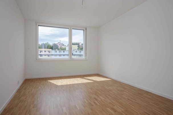 MIETEN OHNE KAUTION - Aussergewöhnliche Wohnung in Schlieren - Foto 1