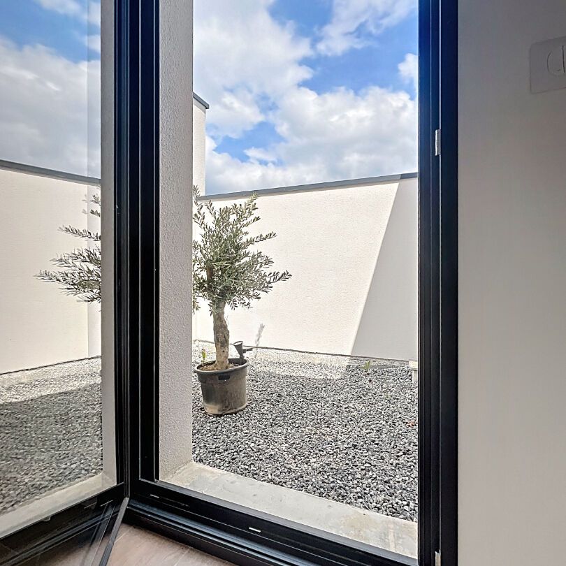 House - Photo 1