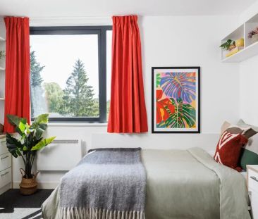 Large Standard Double Studio - Photo 6