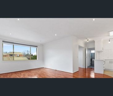 Beautifully renovated Light filled two bedroom Apartment in Tree li... - Photo 1