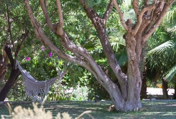 Establiments, Palma De Mallorca