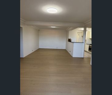 Spacious Open-Plan Unit for Rent - Prime Location in Leichhardt - Photo 2