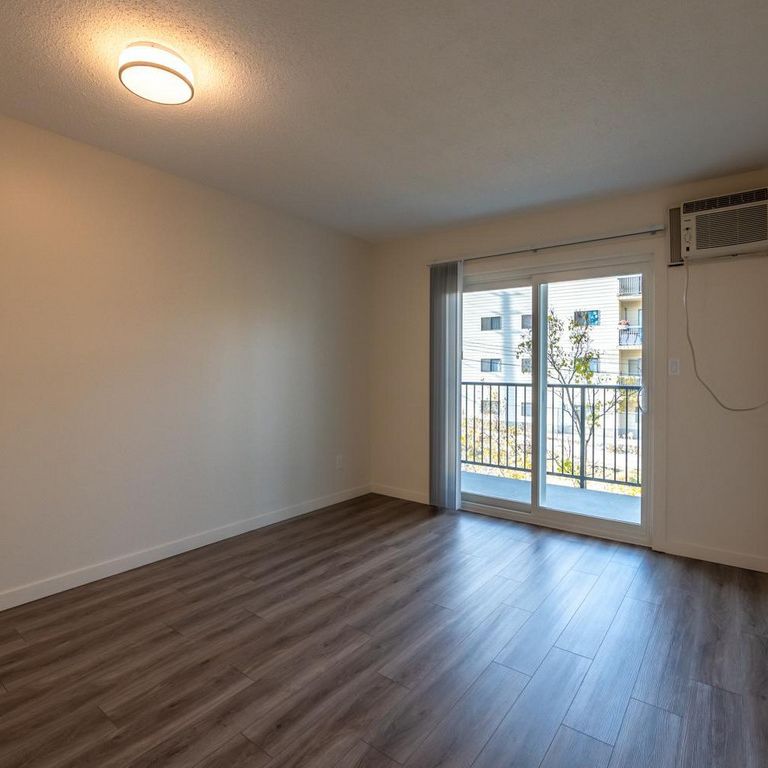 1 Bedroom - Renovated - Photo 1