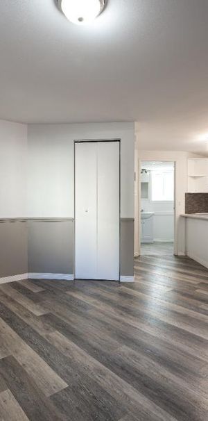 3 1/2 à louer à Lévis - Desjardins - Photo 1