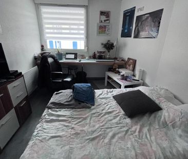 Location Appartement 1 pièce 18m² STRASBOURG 67000 - Photo 2