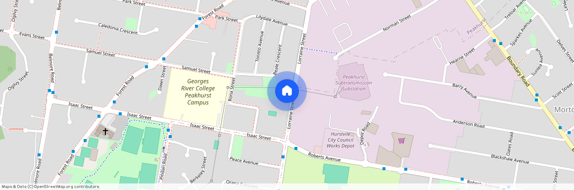 46 Lorraine Street, NSW 2210, Peakhurst