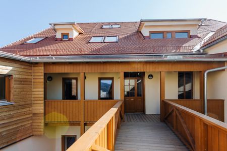 Locker & jung - Zimmer in 3er WG für Erstsemestrige oder WG-Einsteiger:innen - Photo 5