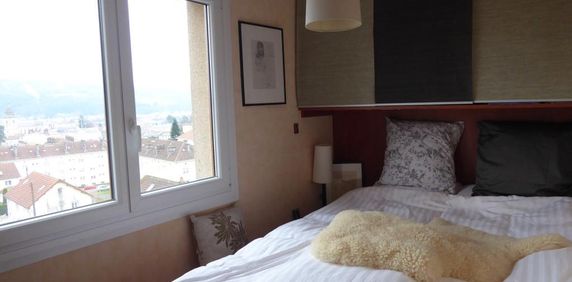Location Appartement 2 pièces 28m² REMIREMONT 88200 - Photo 2
