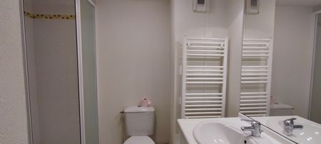 Location Appartement 1 pièce 19m² NANTES 44300 - Photo 2