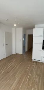 Exklusive Erstbezugswohnungen in 1180 Wien - Anastasius-Grüngasse - Foto 1
