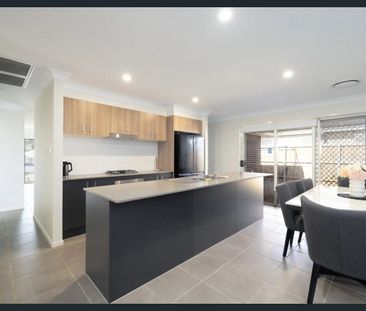 Modern Family Home with Alfresco Entertaining in Quiet Lochinvar Lo... - Photo 4