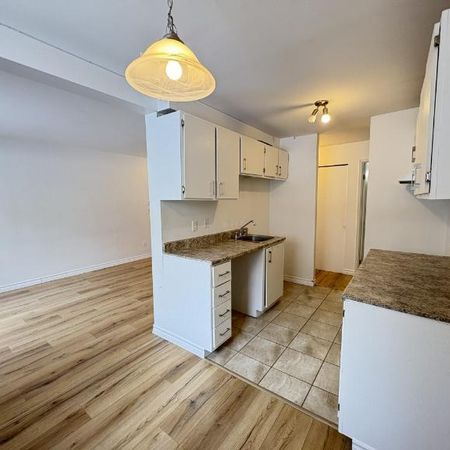 Appartement 4 ½ à louer Lévis décembre 2025 - Photo 4