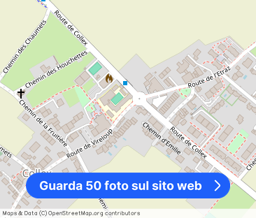 Maison de charme avec jardin arboré à Collex - Foto 1