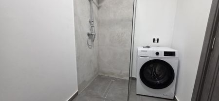 New and modern one-room apartments for rent in Cluj-Napoca, a 5-minute walk from the University of Medicine and Pharmacy and a 5-minute walk from the University of Agricultural Sciences and Veterinary Medicine - Fotografie 3