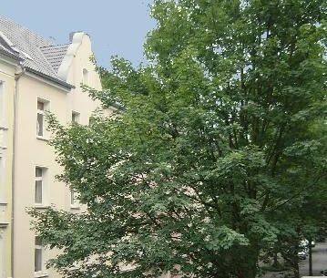 Renovierte 2-Zimmer-Wohnung in der Lange Str. 79 zu vermieten! - Photo 3