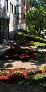 3 1/2 RÉNOVÉS, CHAUFFAGE EAU CHAUDE INCLUS, PRES UDEM, HEC, POLY, HOPITAUX - Photo 4