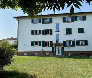 3-Zimmer Wohnung in grüner Oase in Münchenstein - Photo 6