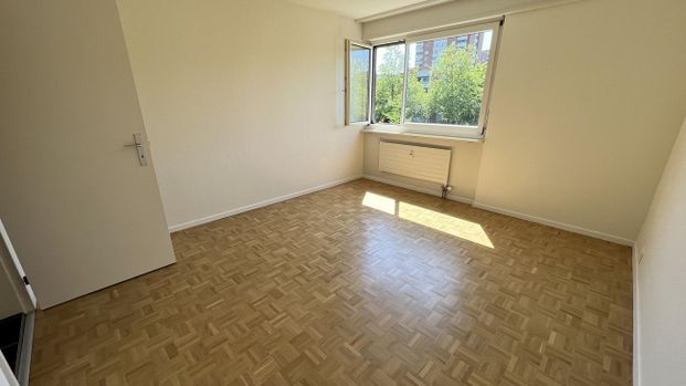 Urbanes Wohnen im Grünen: 2019 sanierte 3-Zimmerwohnung in Muttenz - Photo 1