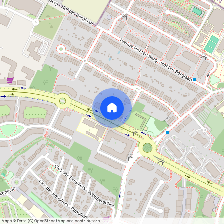 Avenue Marcel Thiry, 52, 1200, Woluwe-Saint-Lambert