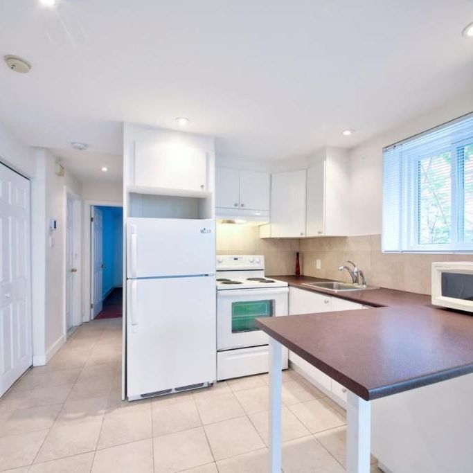 1 Chambre 1 salle de bain à Ville Saint-Laurent - 1 bed 1 bath in Ville Saint-Laurent - Photo 1