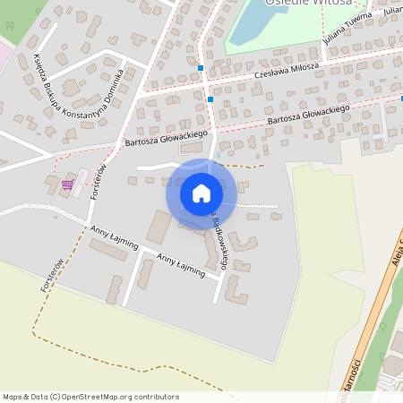 ul. Lecha Bądkowskiego, Tczew, tczewski, pomorskie