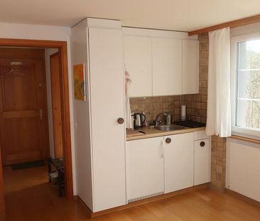 1-Zimmer-Wohnung an ruhiger Lage in Herisau - Photo 3