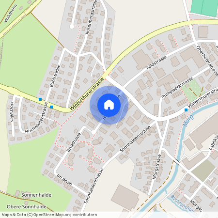 Haldenstrasse, 8370 Sirnach