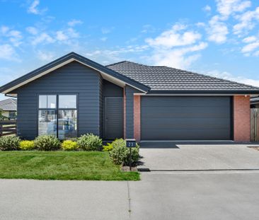 Modern Delight in Rolleston 2.5 Year old - Photo 5