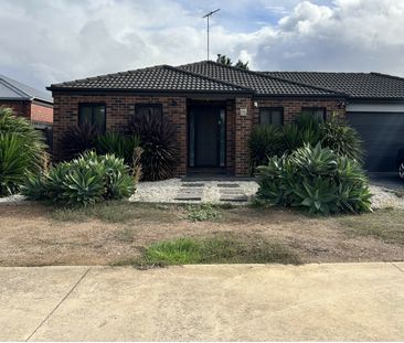 Spacious Family Home in Prime Grovedale Location! - Photo 3