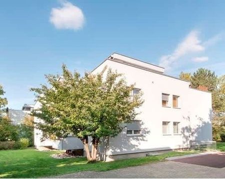 3.5 Zimmer, 81 m², 3. Stock - Foto 5