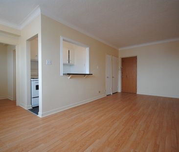 145 Stewart Street, Sandy Hill, Ottawa, ON - Photo 5