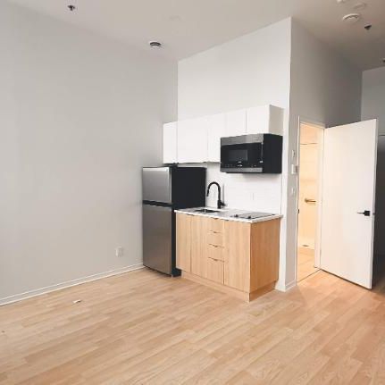 1 CH - 1 SDB - Montréal - $1,245 /mo - Photo 4