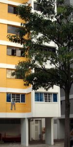 Blk 337 Clementi Avenue 2 (Clementi), HDB 5 Rooms - For Rent - Photo 4