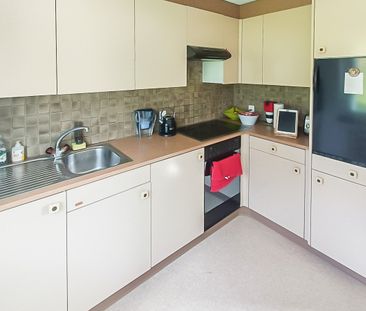 1.5-Zi. Wohnung mit Sitzplatz - Photo 1
