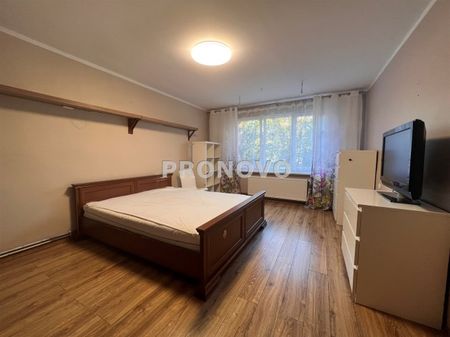 Goleniów (gw), Żółwia Błoć - Photo 2