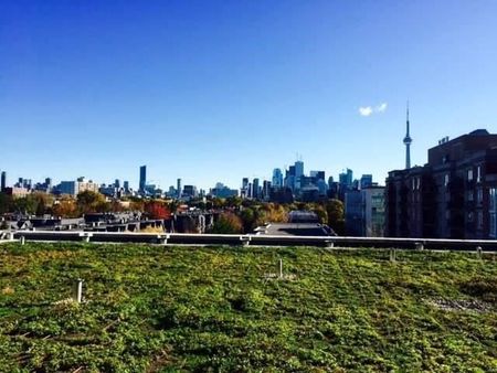 For Lease - 1030 King Street Unit# 505, Toronto, Ontario - Photo 2