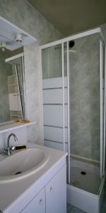 Location Appartement 1 pièce 25m² LIMOGES 87000 - Photo 4