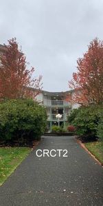 2 Bed, 1 Bath at Creekside Terrace - 1st Month Free (CRCT2) - Photo 4